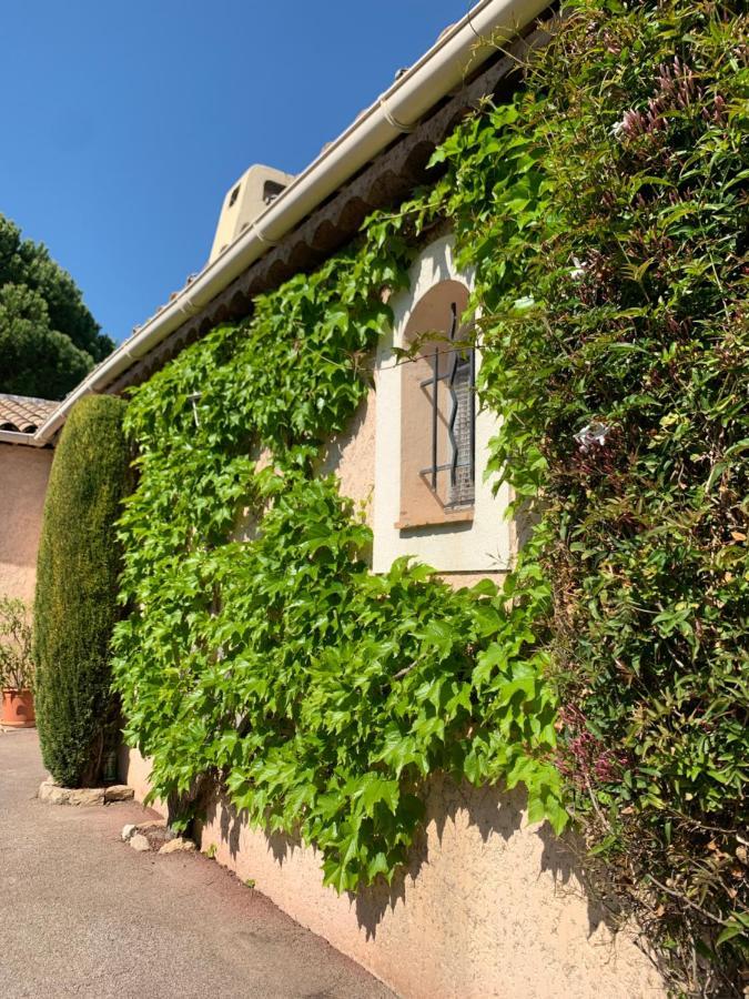 Apartment Anolpa Vence